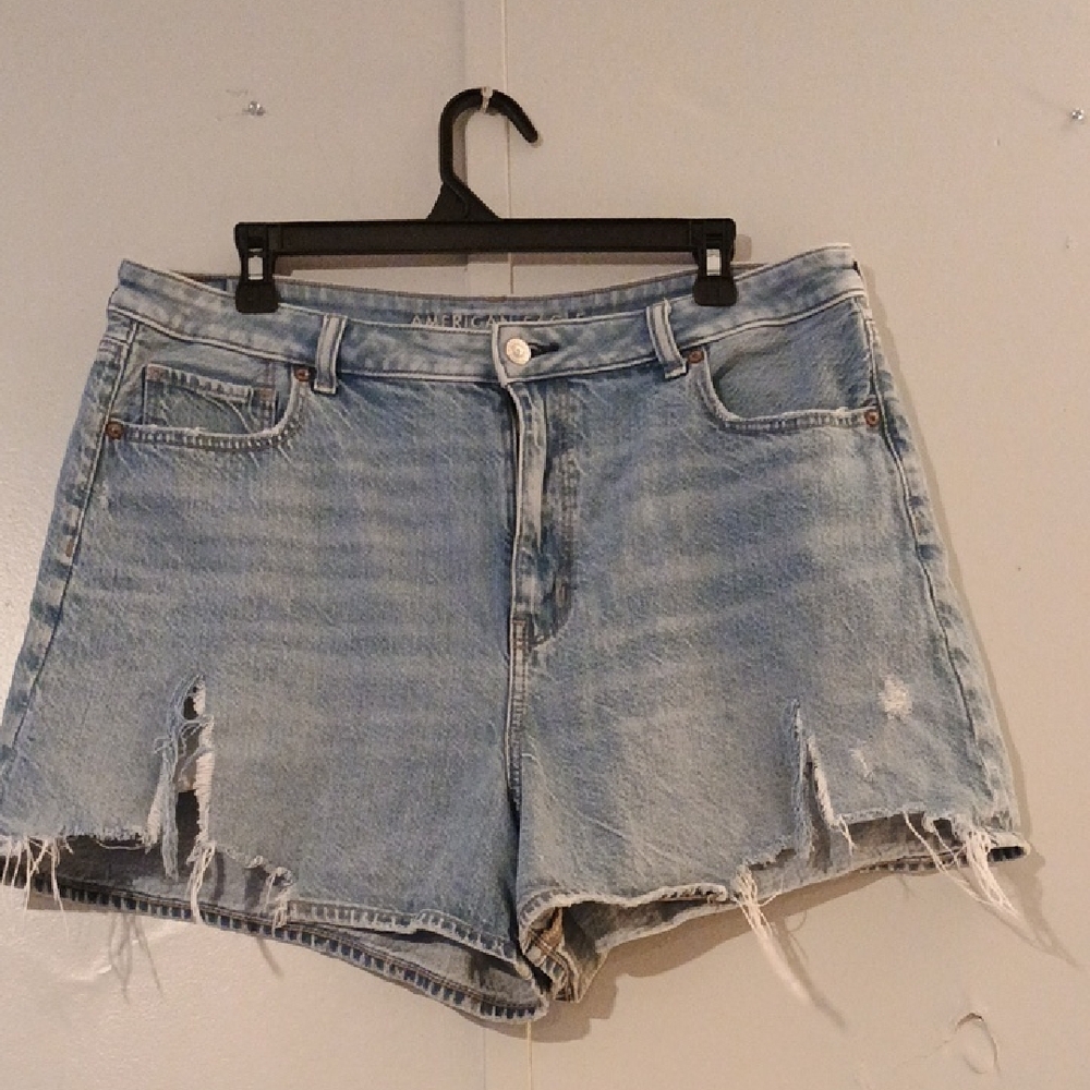 American Eagle Outfitters Light Blue Distressed Jean Shorts